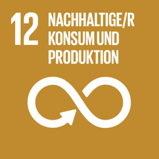 sdg-image-12-data