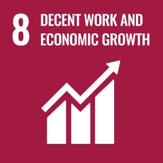 sustainable-development-goal-8