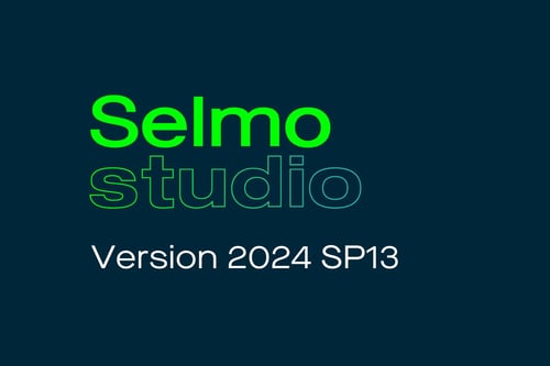 Selmo Studio Release Version 2024 SP13