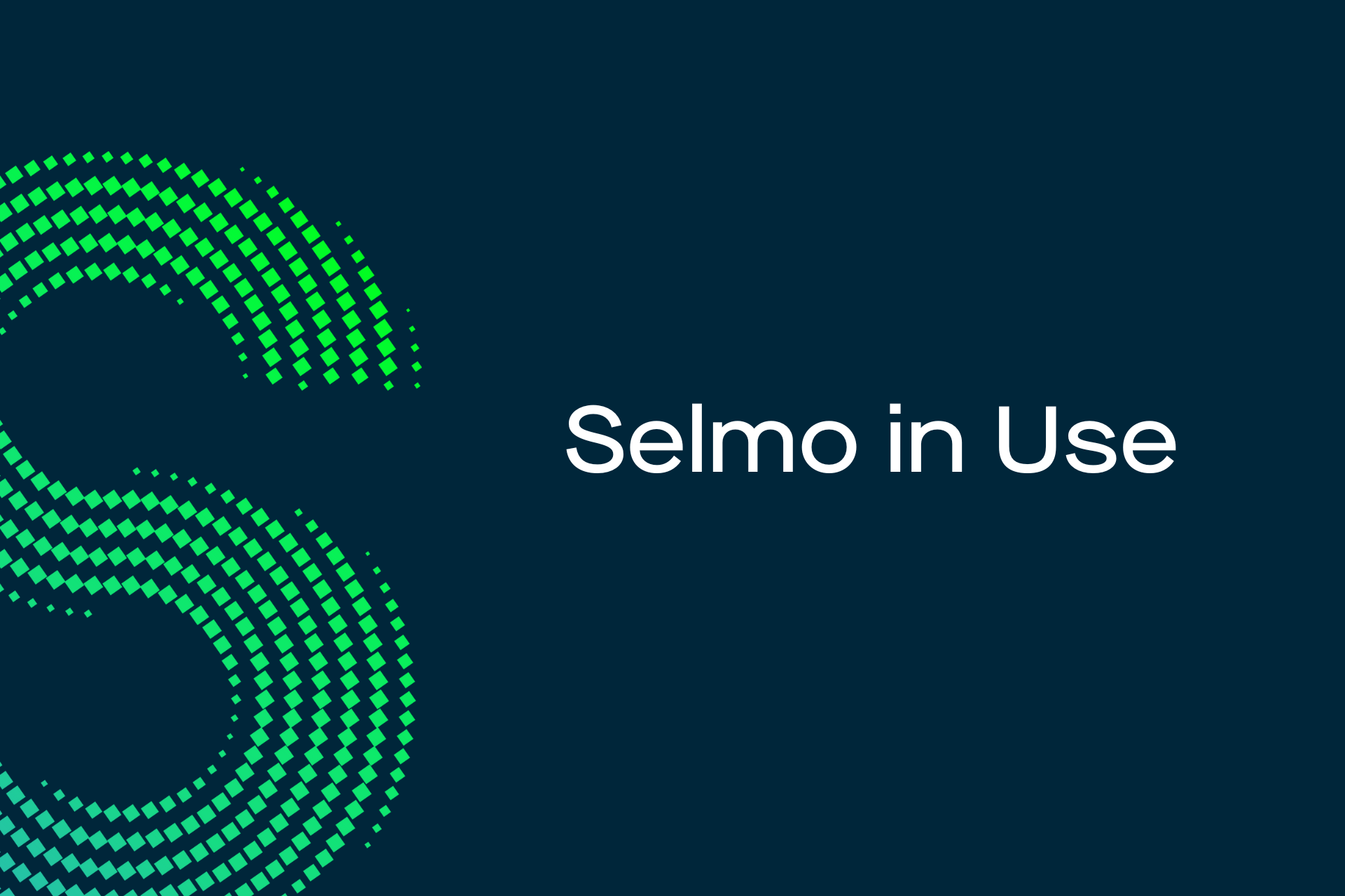 Selmo in Use-1