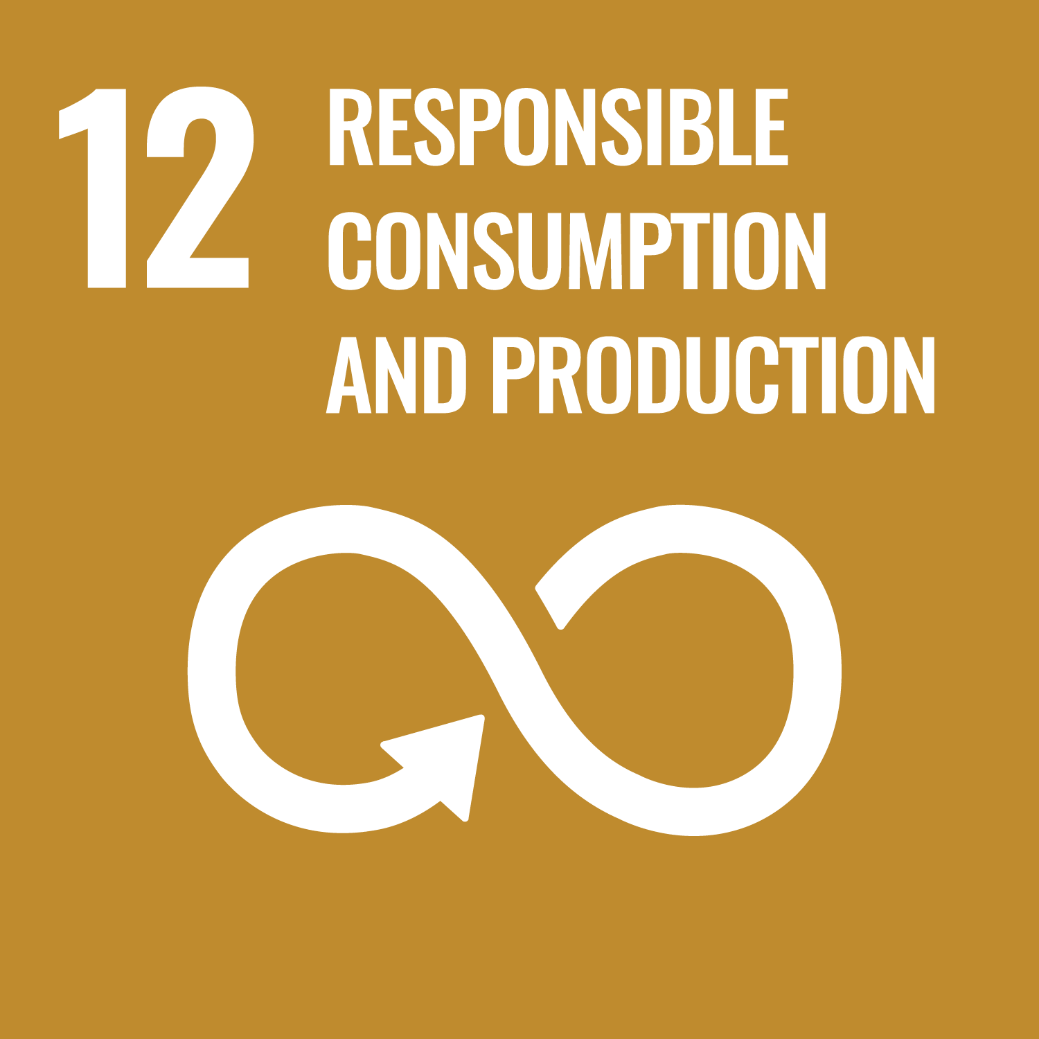 UN Sustainable Development Goal 12 – Responsible Consumption and Production
