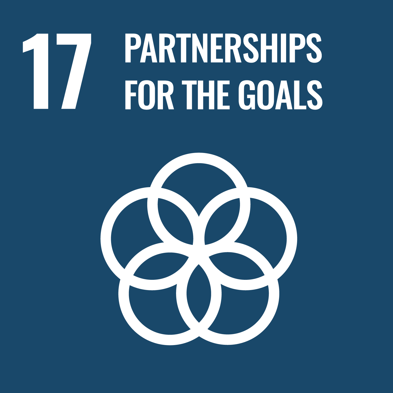UN Sustainable Development Goal 17 – Partnerships for the Goals