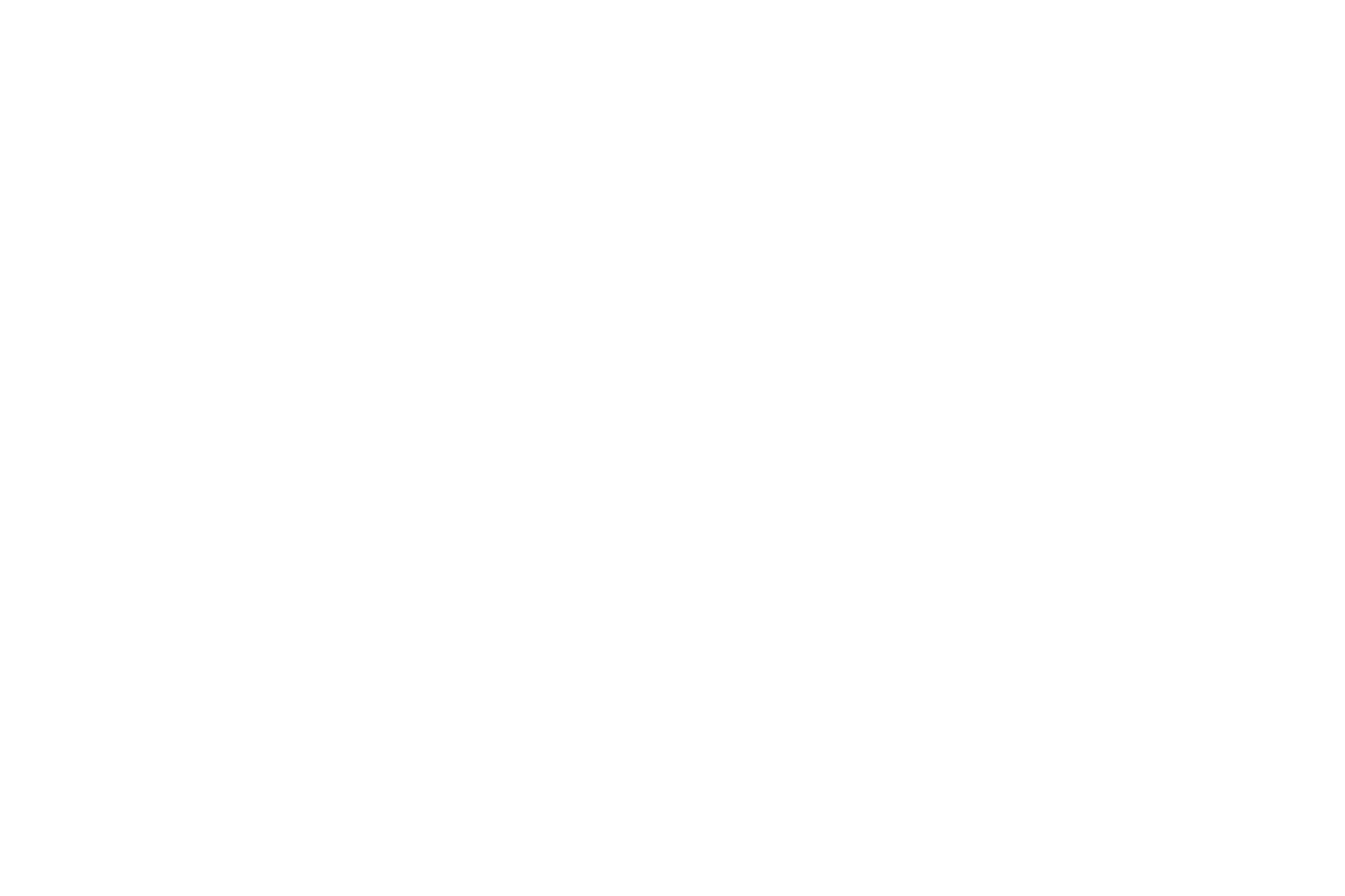 01_OT-Strategie_Grafik (1920 × 1280 px)_abgerundet